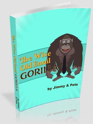 The Wise Old Email Gorilla