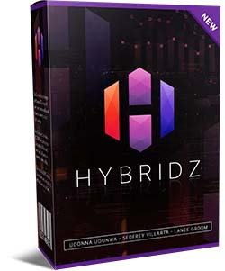 Hybridz