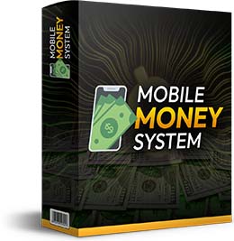 Mobile Money System