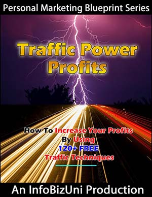 Traffic Power Profits