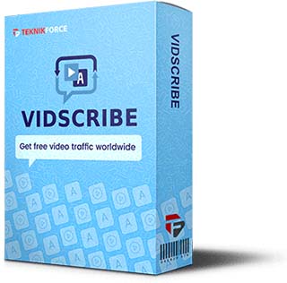 VidScribe AI