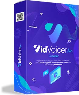 VidVoicer