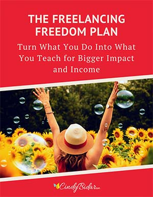 The Freelancing Freedom Plan